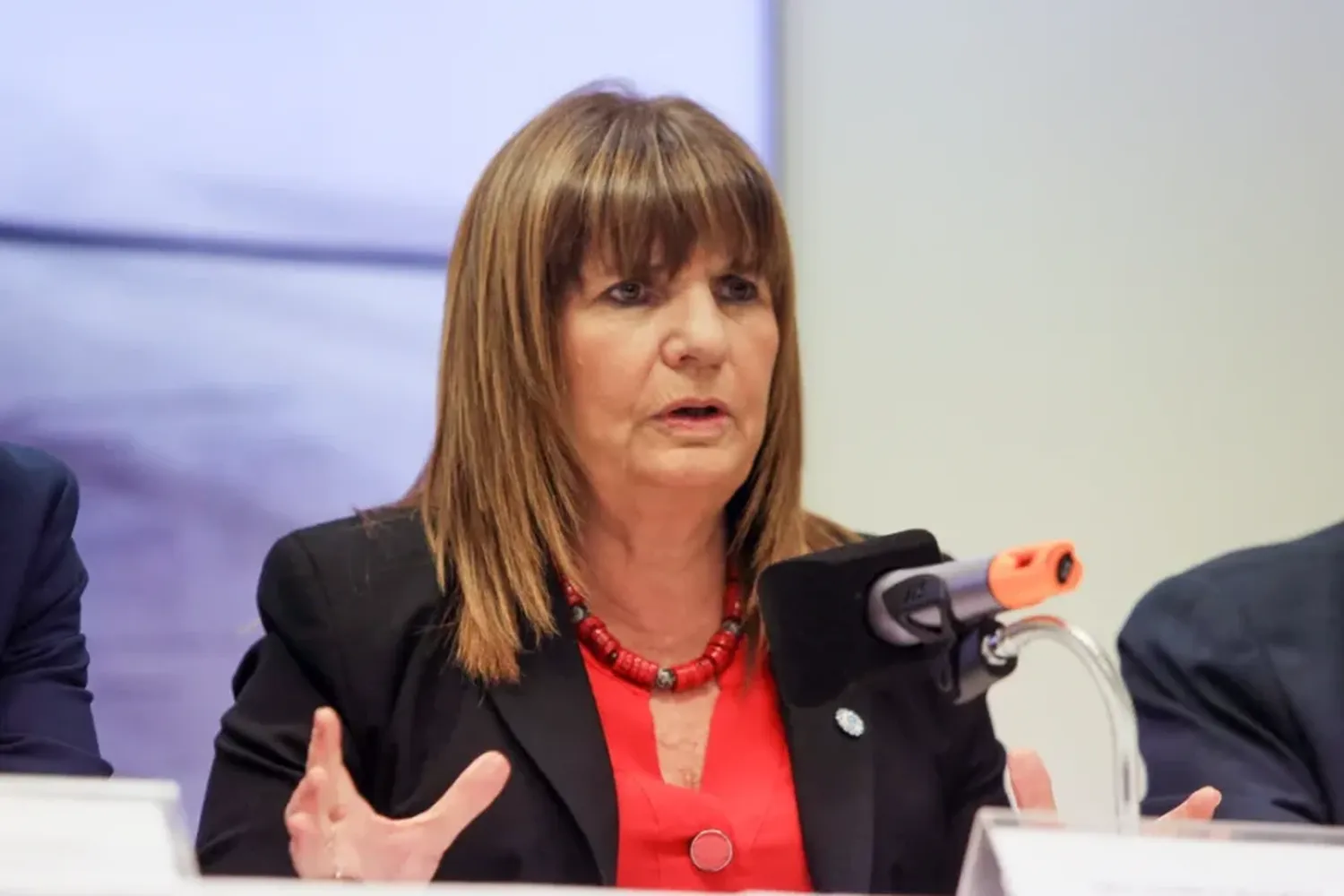 Bullrich dijo que Lousteau votó contra el DNU porque "le sacaron la caja de las universidades” y el senador salió a responderle