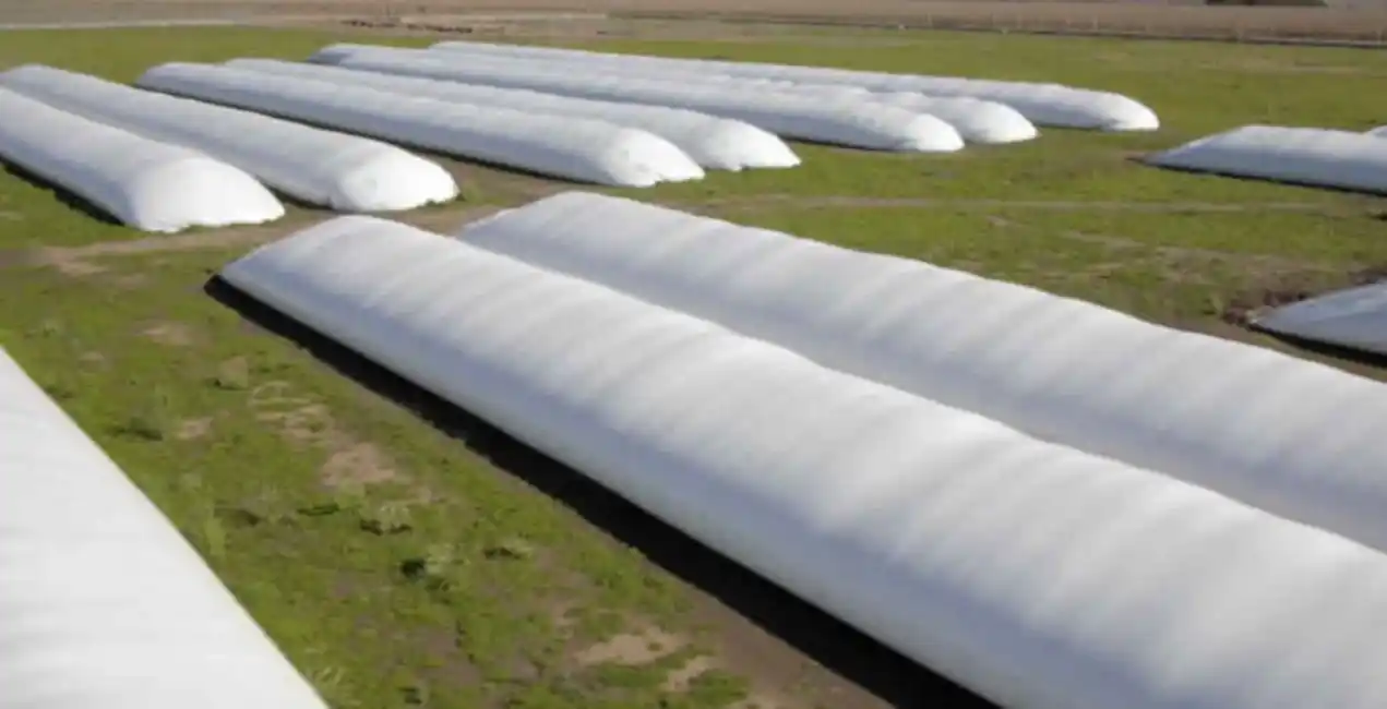 Efecto “dólar soja”: las reservas subieron casi US$ 870 millones