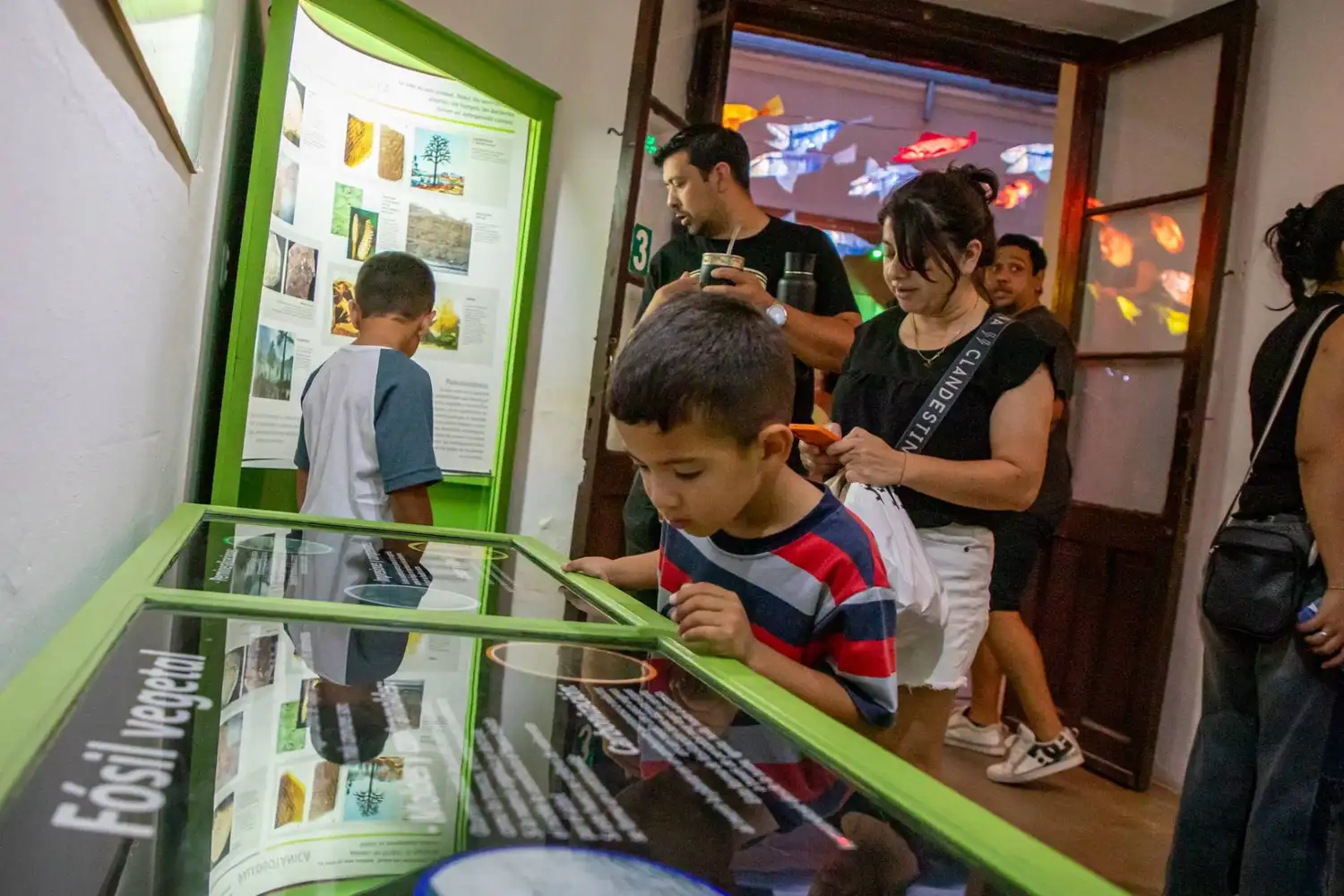 Museos