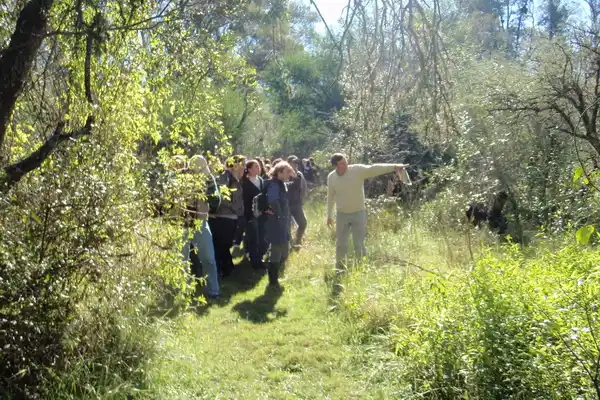 Día Mundial del Clima: qué se hace en la ciudad para reducir el cambio climático