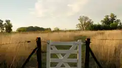 Condenaron a 8 años de prisión a estanciero por trata de personas