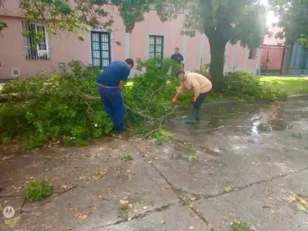 Tras la tormenta, personal municipal desplegó un amplio operativo en distintas zonas afectadas