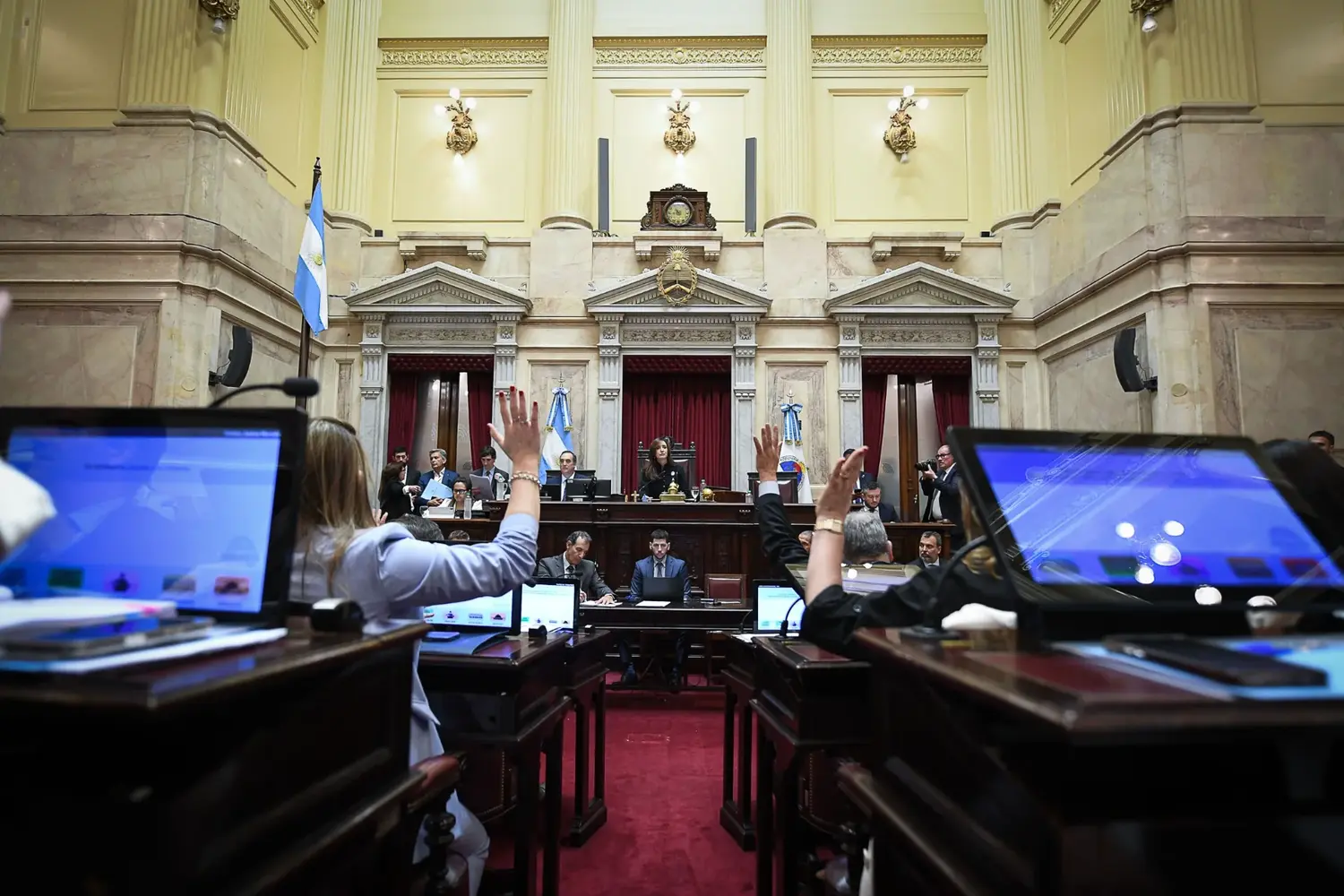 El Senado aprobó la reforma de la Ley de Salud Mental: qué cambios propone el Gobierno