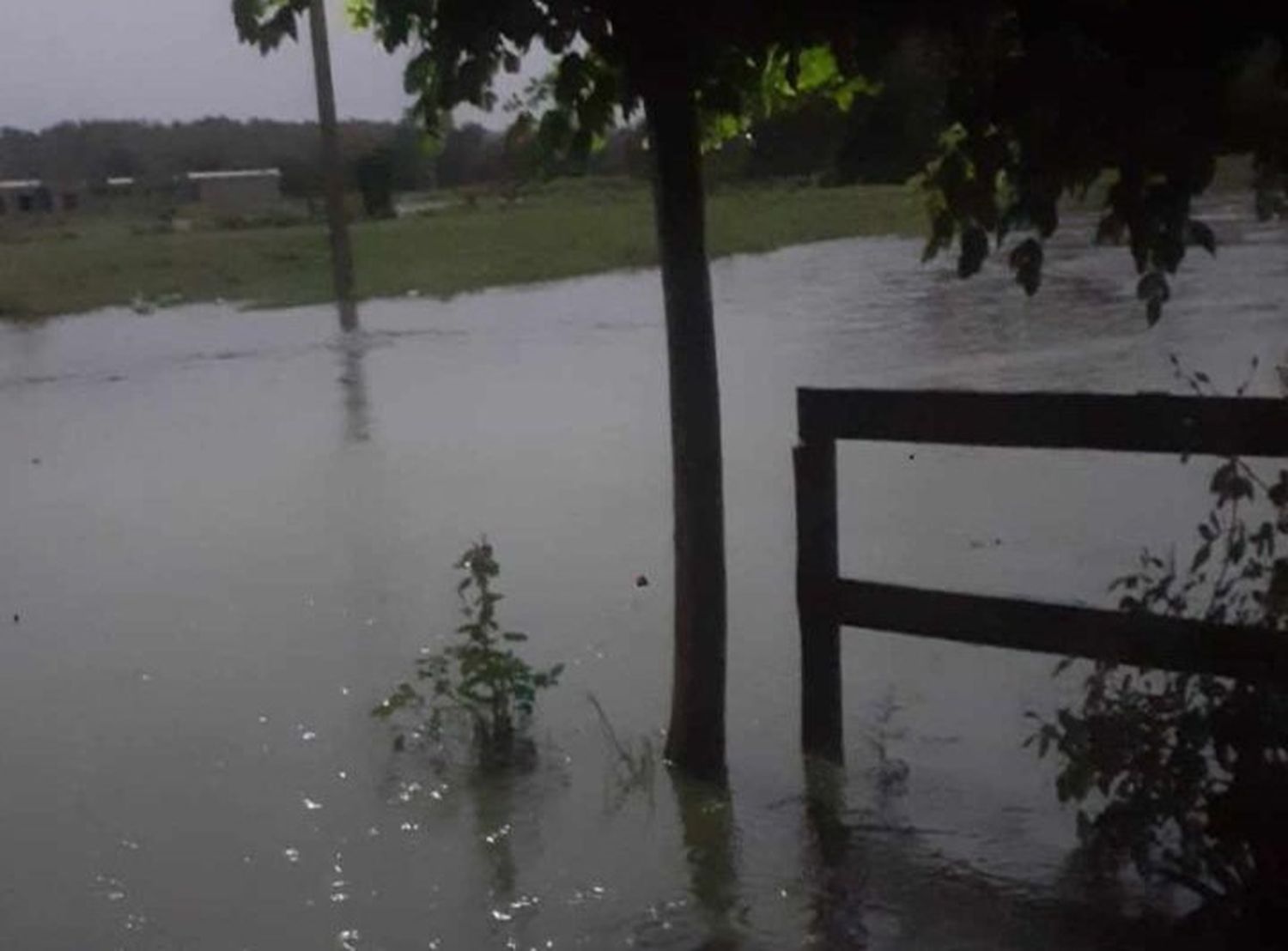 Agua que viene del campo