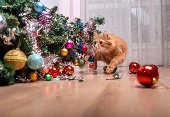 Falta poco para armar el árbol de Navidad: el truco sencillo y seguro para evitar que tu gato lo tire al piso