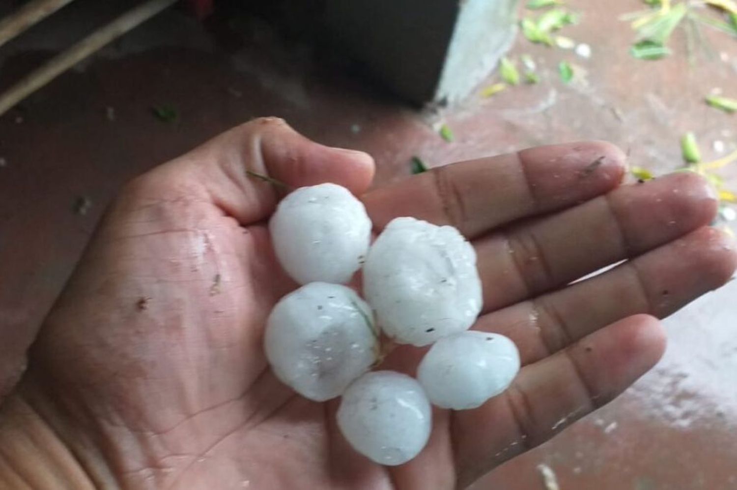 Un intenso temporal en Florencia ocasionó daños en cultivos y dejó a la ciudad sin luz