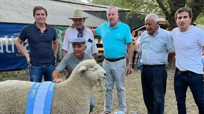 Estancia La Libertad será sede de un encuentro de criadores de Romney Marsh