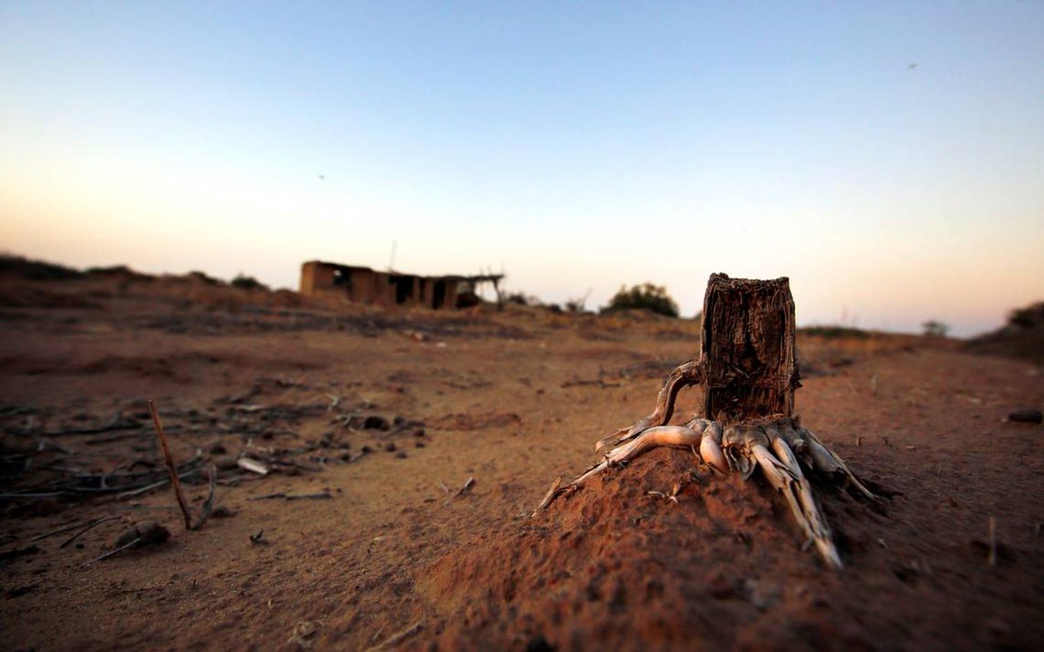 Calentamiento global: cada vez más muertes y pérdidas materiales