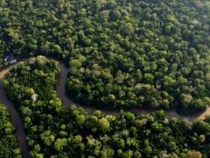 CUMBRE AMAZÓNICA: Colombia alerta que la Amazonía está en riesgo