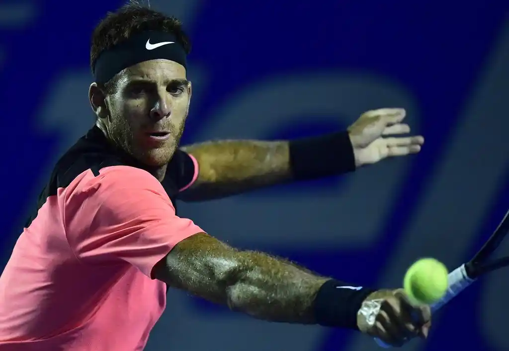 Del Potro cayó en Miami ante un Isner implacable  