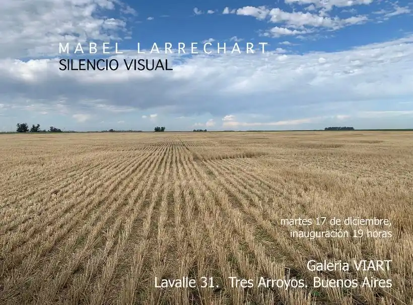 Este martes inauguran una muestra de Mabel Larrechart en Viart