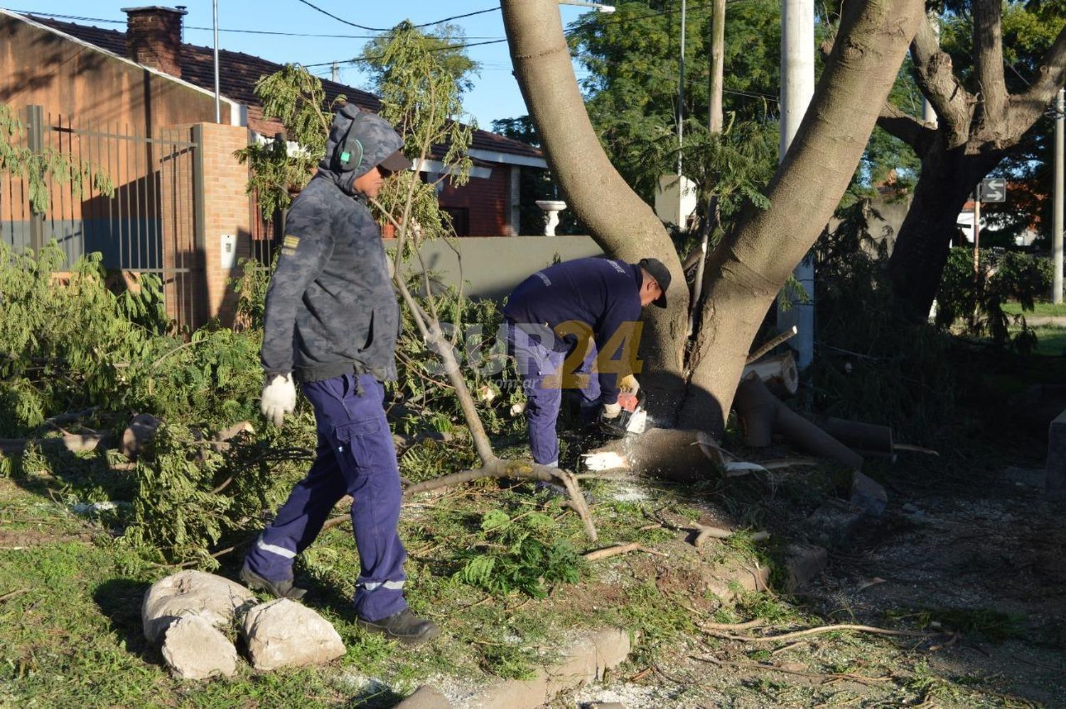 Crece la poda y el desmalezado en la ciudad