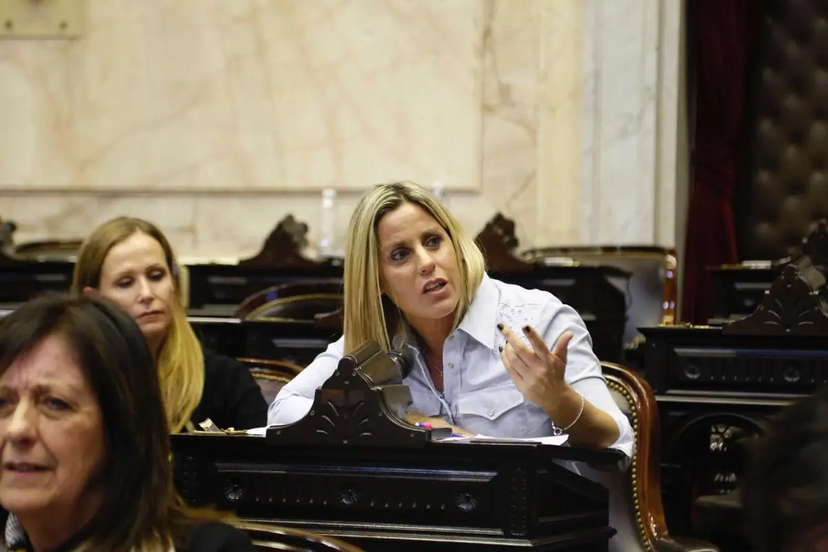 La diputada Villa presentó un proyecto para acompañar a Familias Adoptantes: "La adopción en Argentina es un problema"