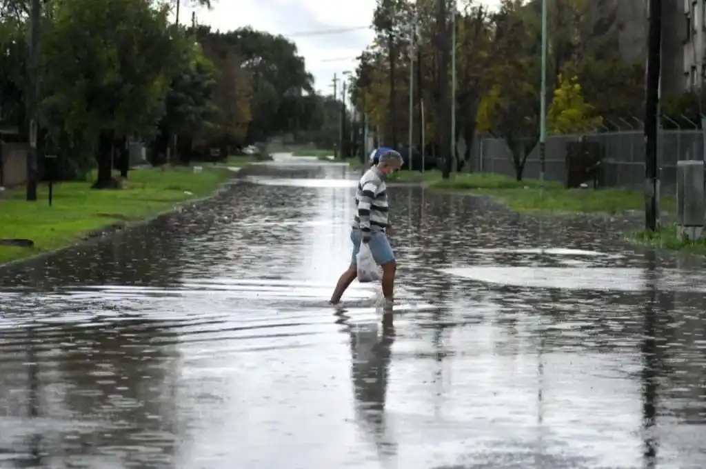 Temporal en Mar del Plata: evacuados, caída de árboles y postes