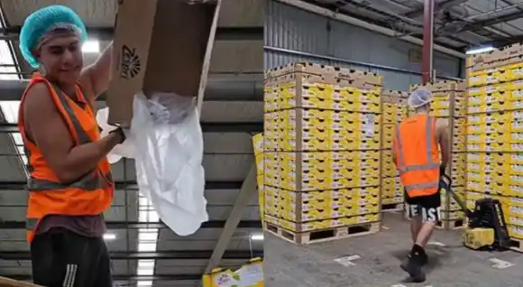 Trabajó 17 días sin descanso en el exterior, ganó una fortuna y se volvió viral