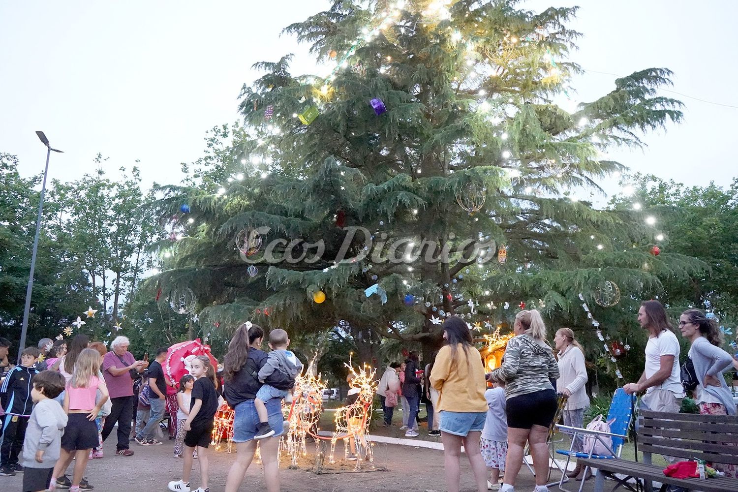 En la plaza. Se inauguró anoche el arbolito de Navidad