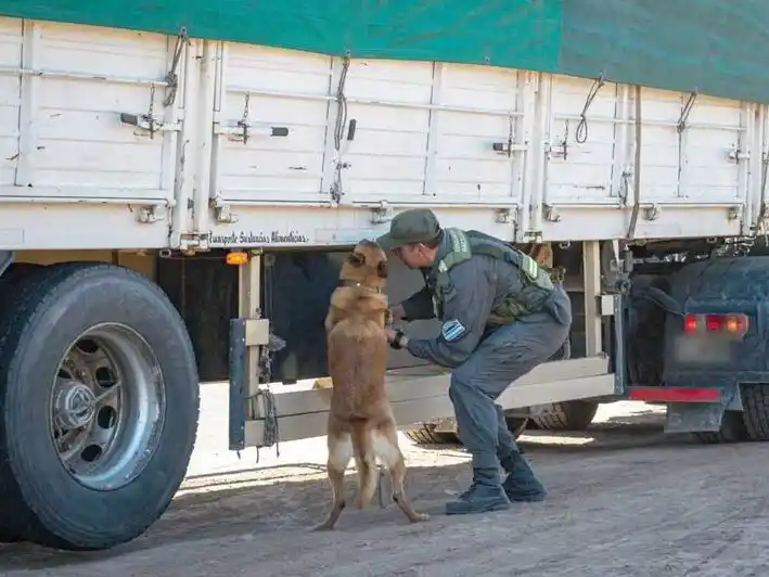 Operativo intensivo de saturación y antievasión en las provincias de Chaco y Formosa