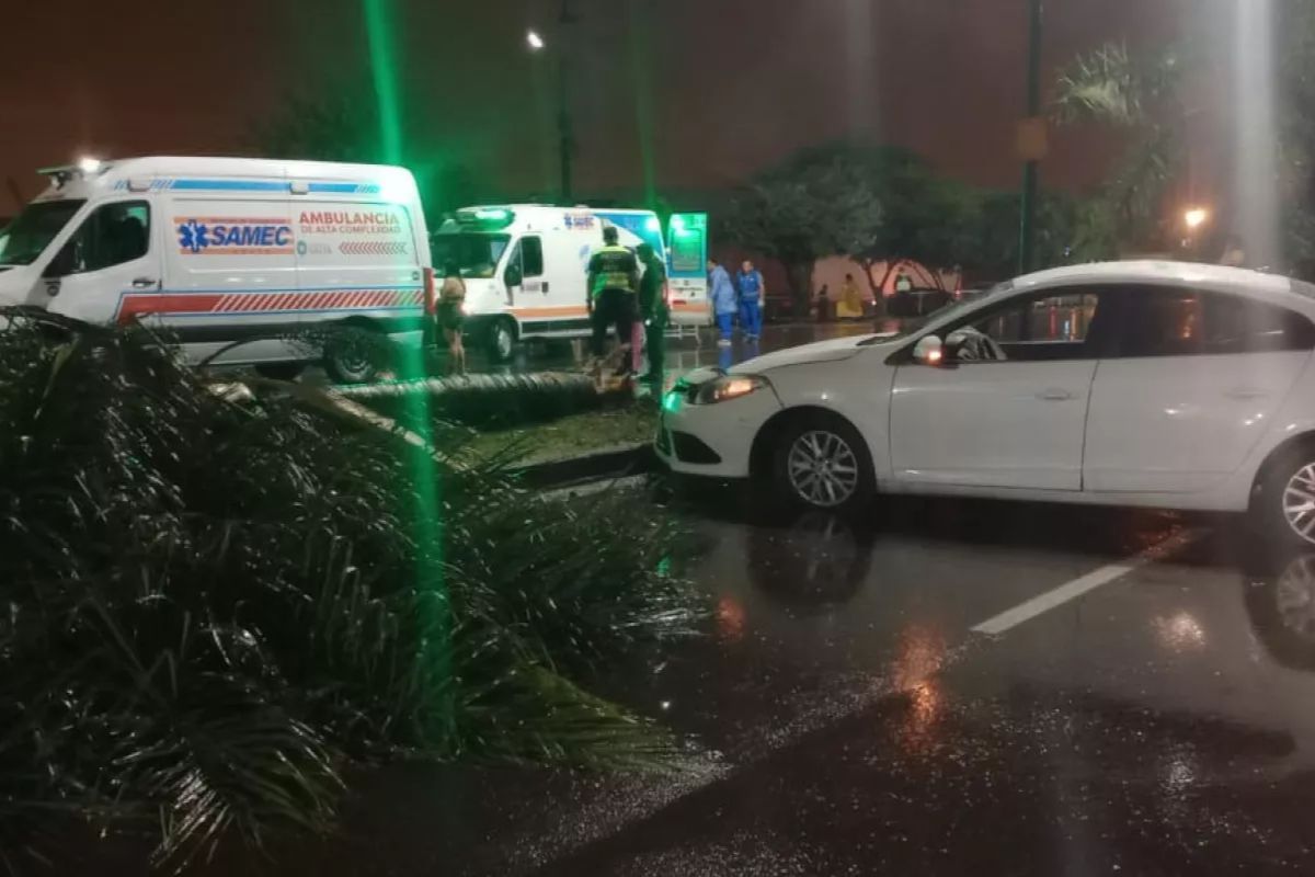 El acompañante fue detenido