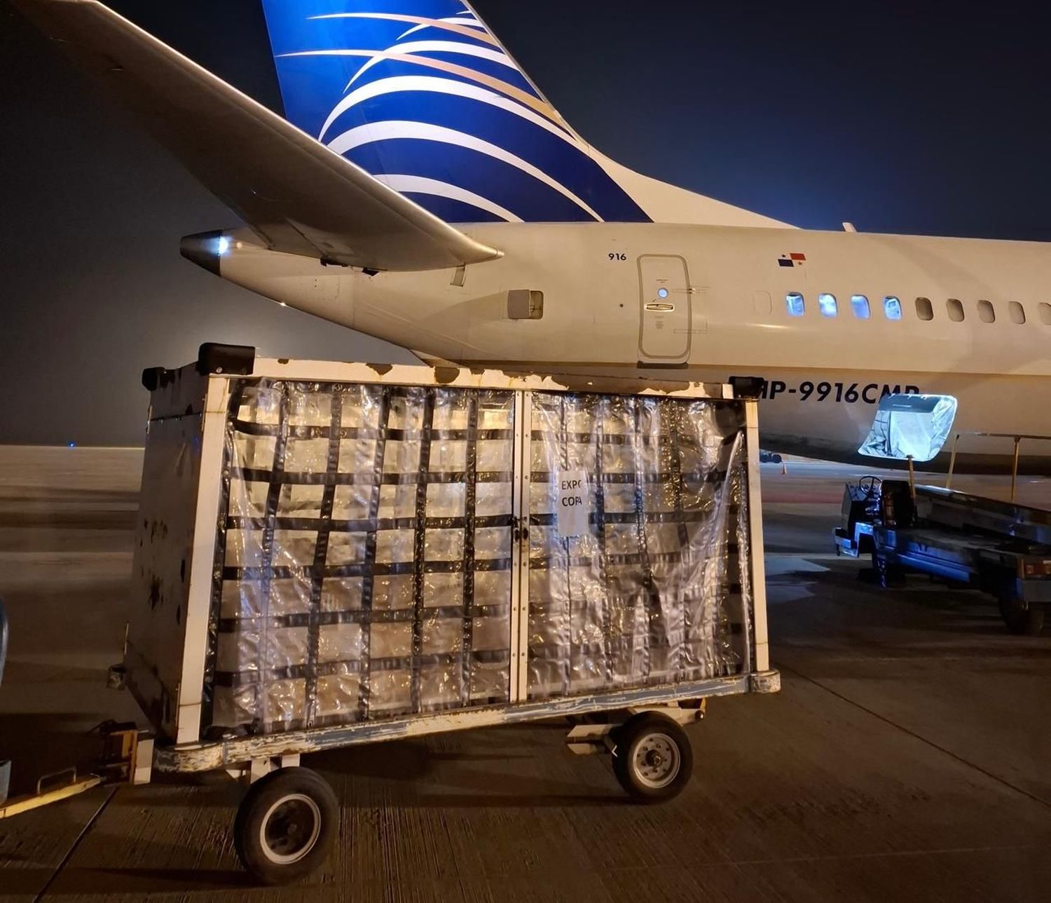 El aeropuerto de Rosario consolida exportaciones de alimentos perecederos por vía aérea