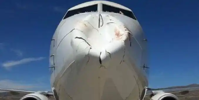 No vas a poder creer contra qué chocó este avión