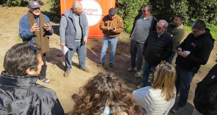 INTA presentó proyecto internacional contra el HLB