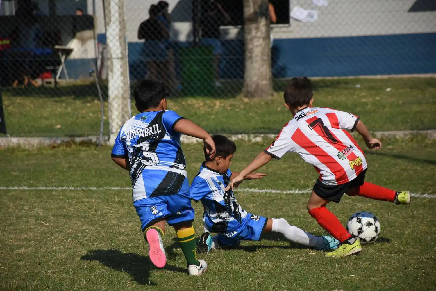 torneo infantil ben hur - 4