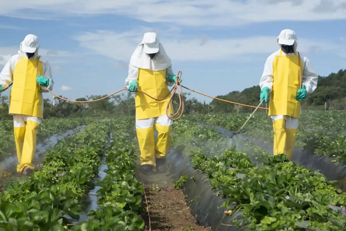 Por Ley, Chubut se convirtió en la primer provincia en prohíbir el glifosato