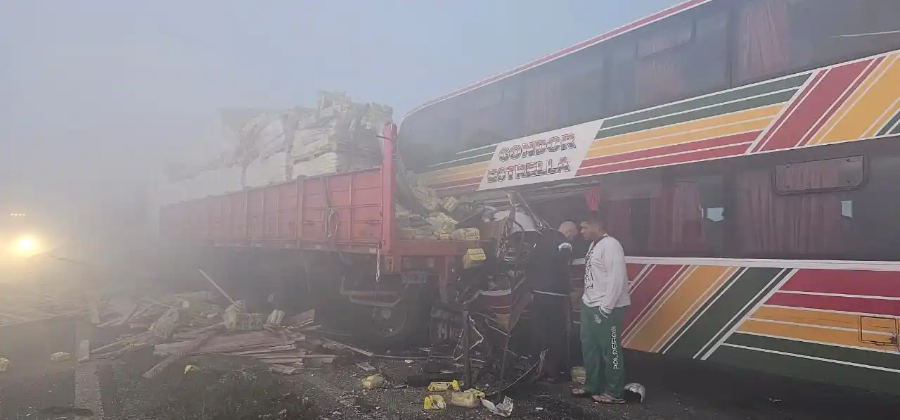 Tragedia en Zárate-Brazo Largo: El motivo por el cual se produjo el fatídico siniestro