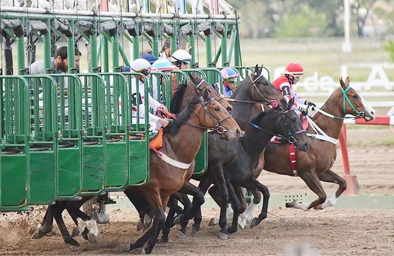 Martes 24: Actividad Hipódromo de La Plata