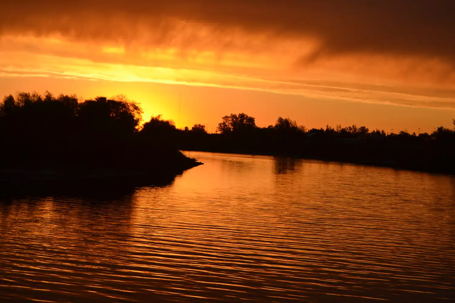 Feriado el lunes 7 de diciembre?