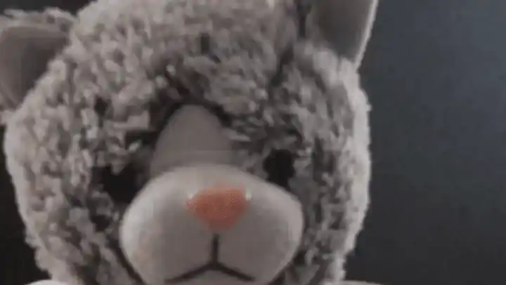 El niño había perdido su oso de apego en una plaza de Mendoza