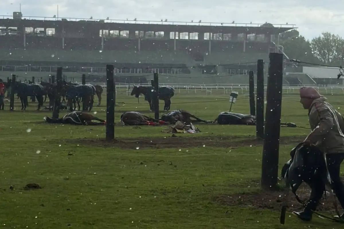 Un rayo mató a cuatro yeguas de polo en el Jockey Club
