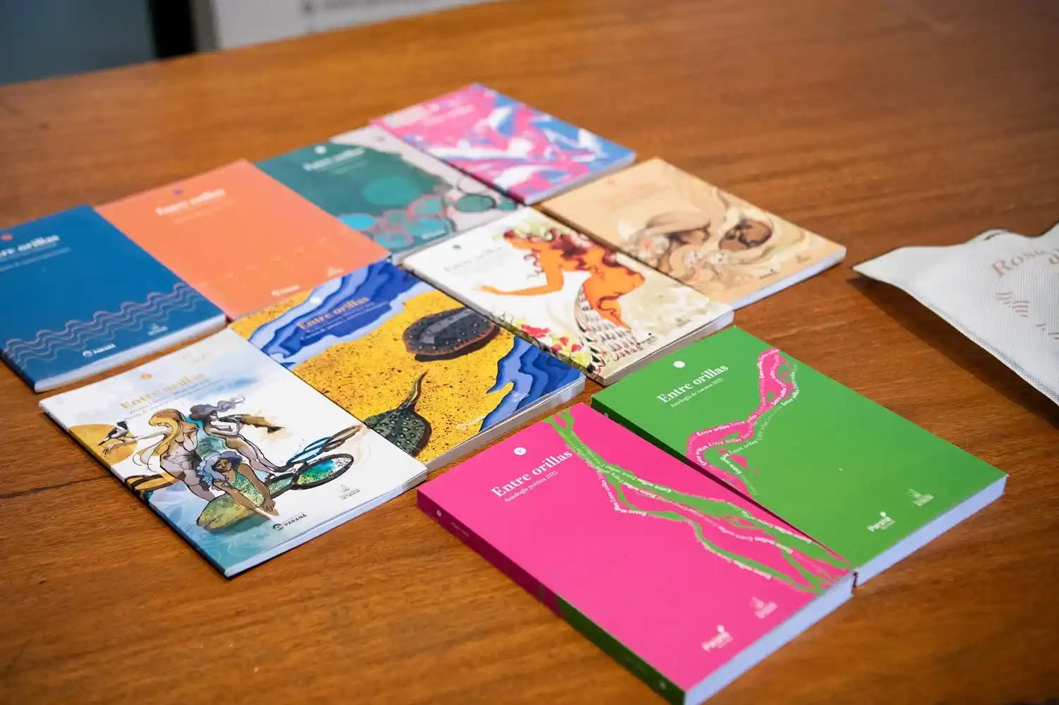 Lanzaron una nueva edición del Certamen Literario Entre Orillas con premios y publicación para autores entrerrianos