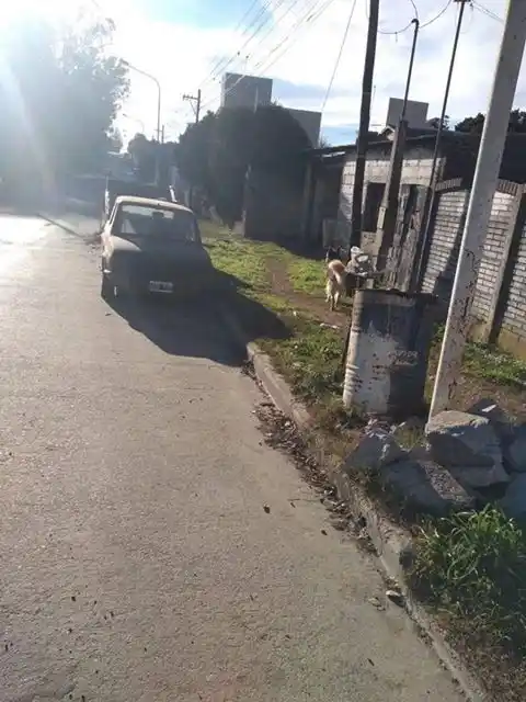 No se queje si no se queja