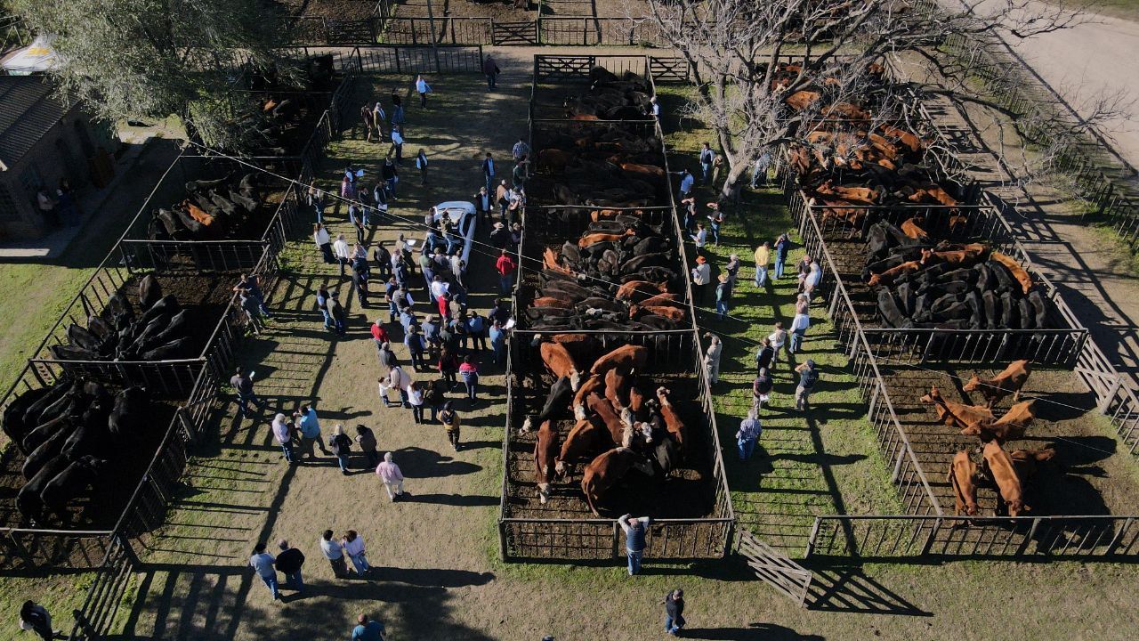 La feria fue desbordada por una ola verde