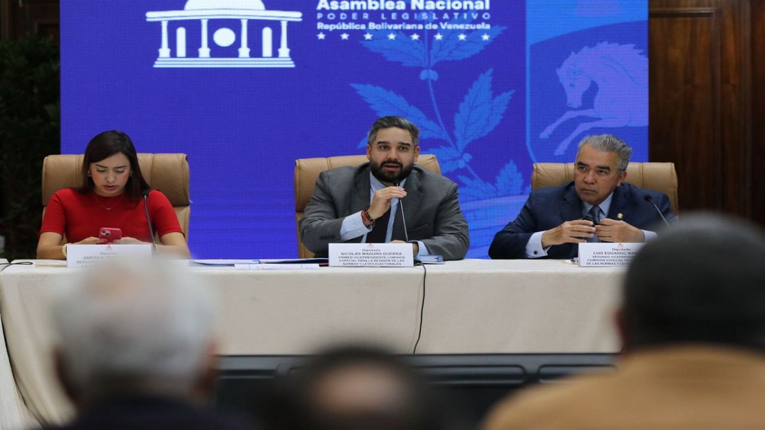 Comisión de la AN lleva   propuestas para el cronograma electoral al CNE