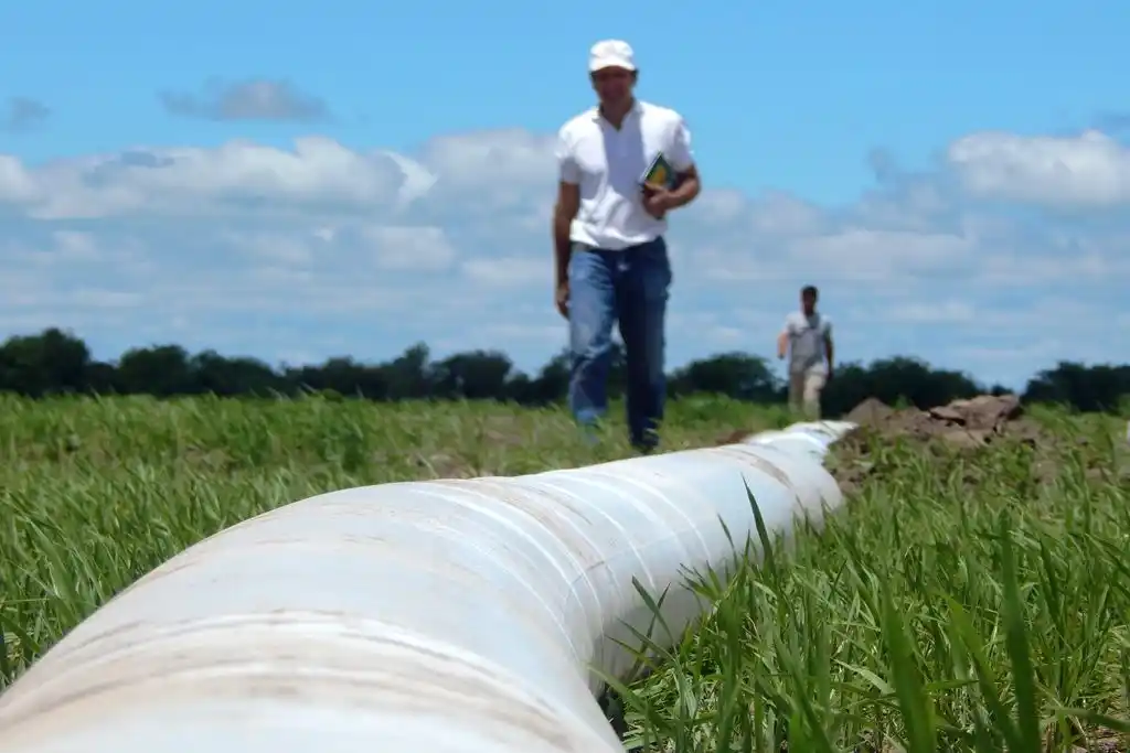 Aprobaron proyecto internacional para el arroz