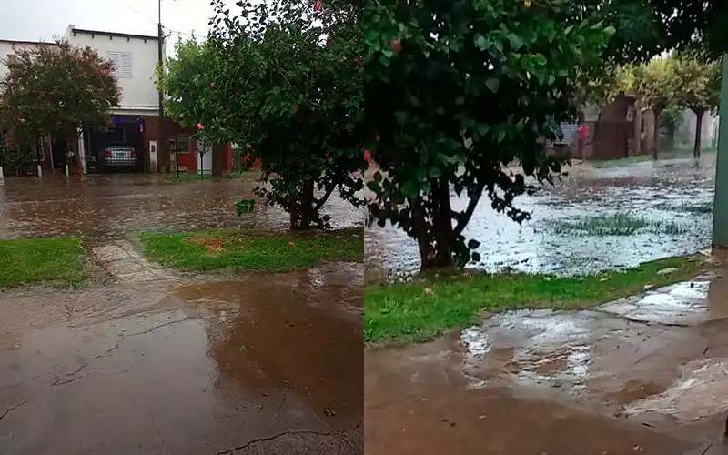Reclamo en Colón al 1400: “Mucho pavimento, pero a caballo hay que salir”