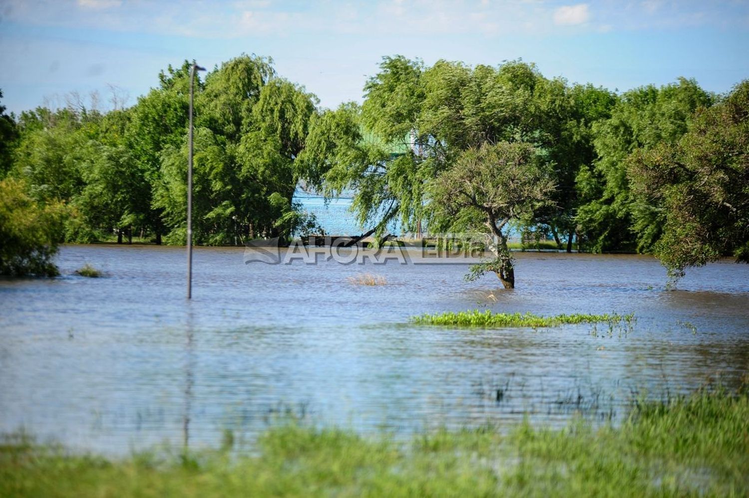 RÍO GUALEGUAYCHÚ - 4