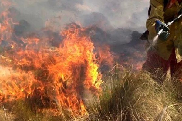 Entre Ríos con focos activos de incendios forestales en Gualeguay