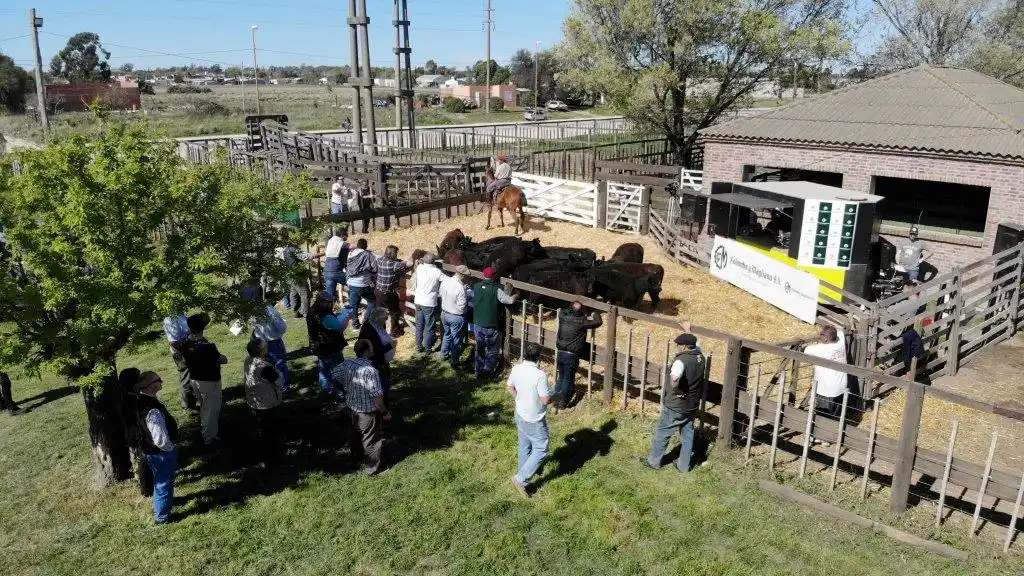 Colombo y Magliano dejó su sello en la feria de Tres Arroyos