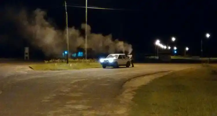 Mosquitos: Fumigación preventiva del dengue afectada por las lluvias