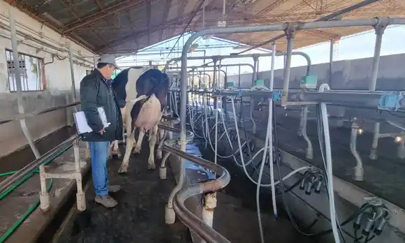 Comenzó el recorrido de tambos en el 8° Concurso de Vacas a Campo