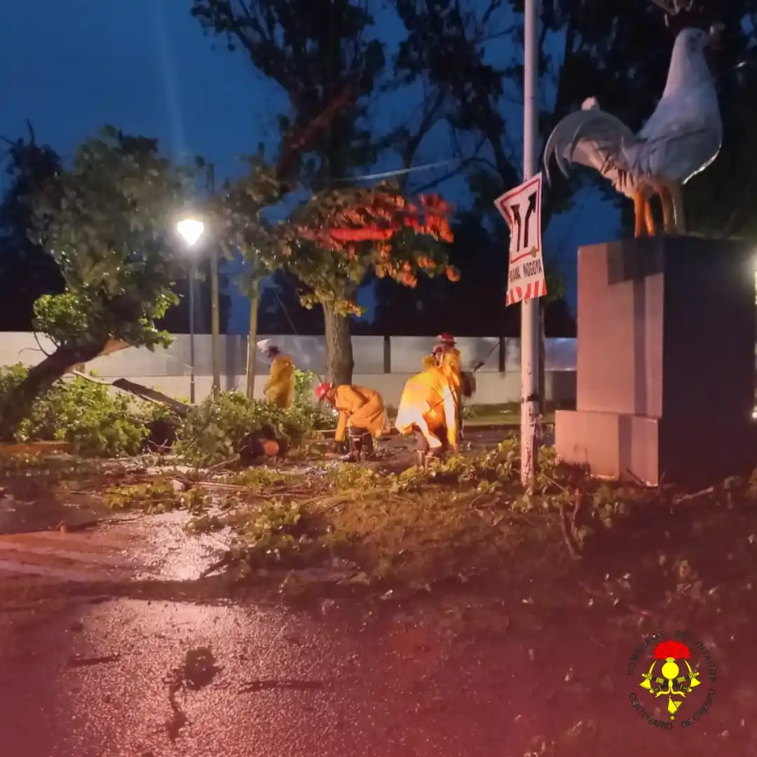 Intervención de Bomberos ante los estragos de las lluvias y vientos intensos