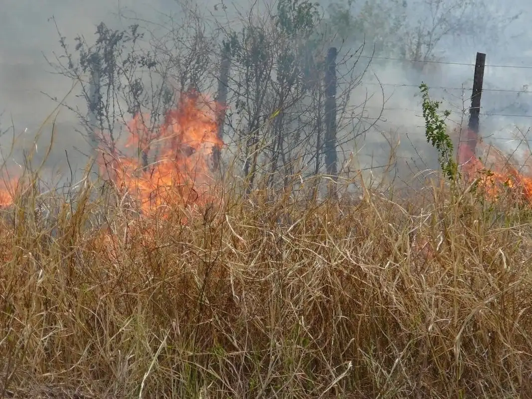 Brindan recomendaciones para prevenir incendios y cuidar el ambiente