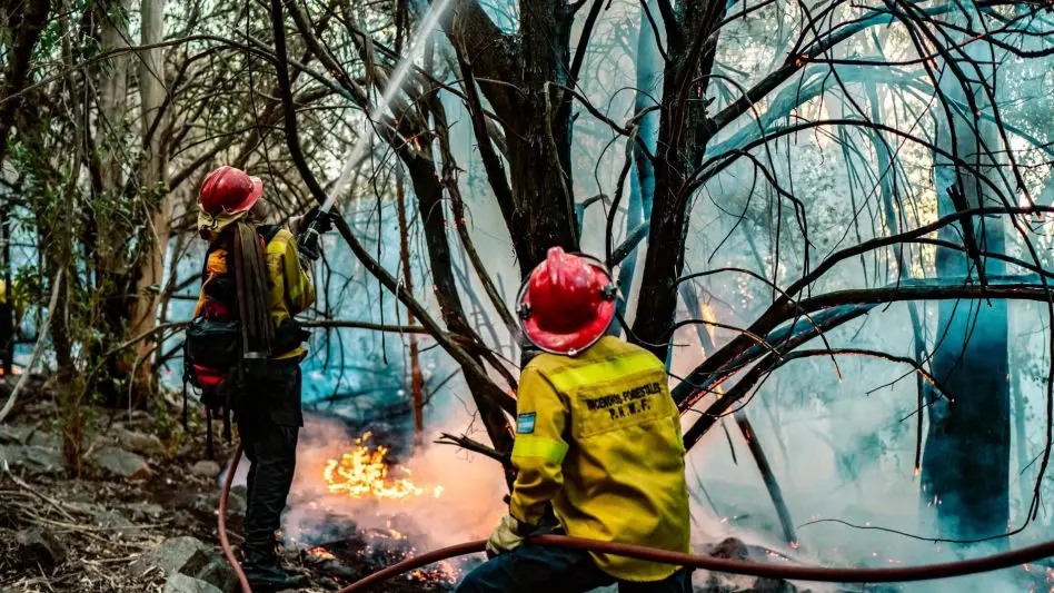 Alerta por Alto Riesgo de Incendios en General Pueyrredon para Este Fin de Semana