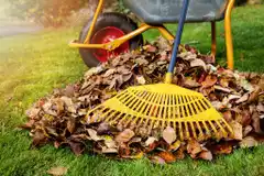 Descubrí cómo utilizar la hojarasca para mejorar tu jardín