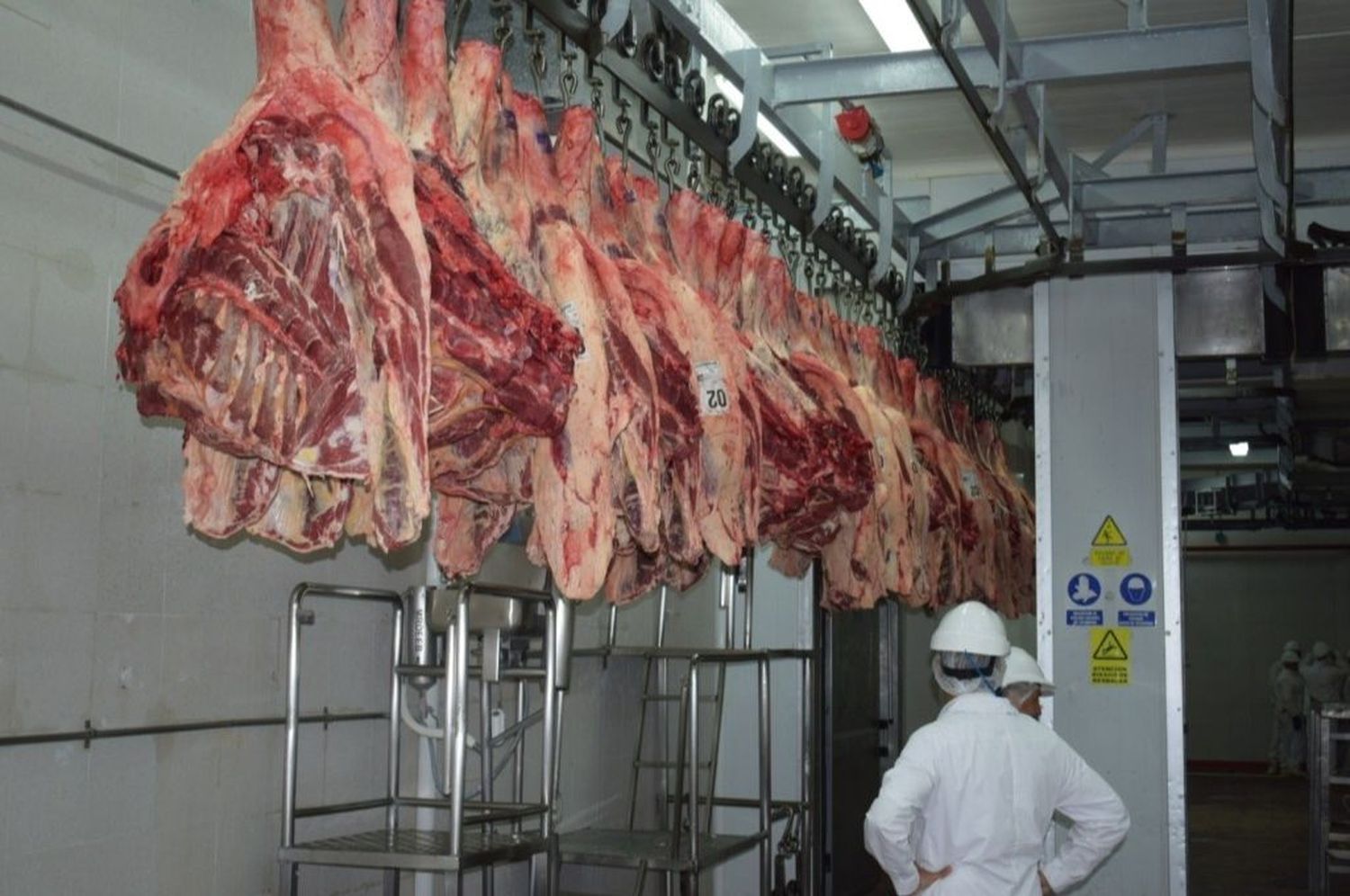 Implementan el troceo de carne y el uso de medios mecánicos y rieles para medias reses