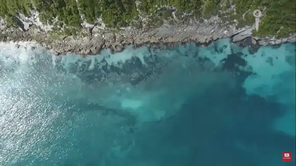 Derrame de petróleo mata la flora y la fauna de las costas venezolanas – Impacto Mundo