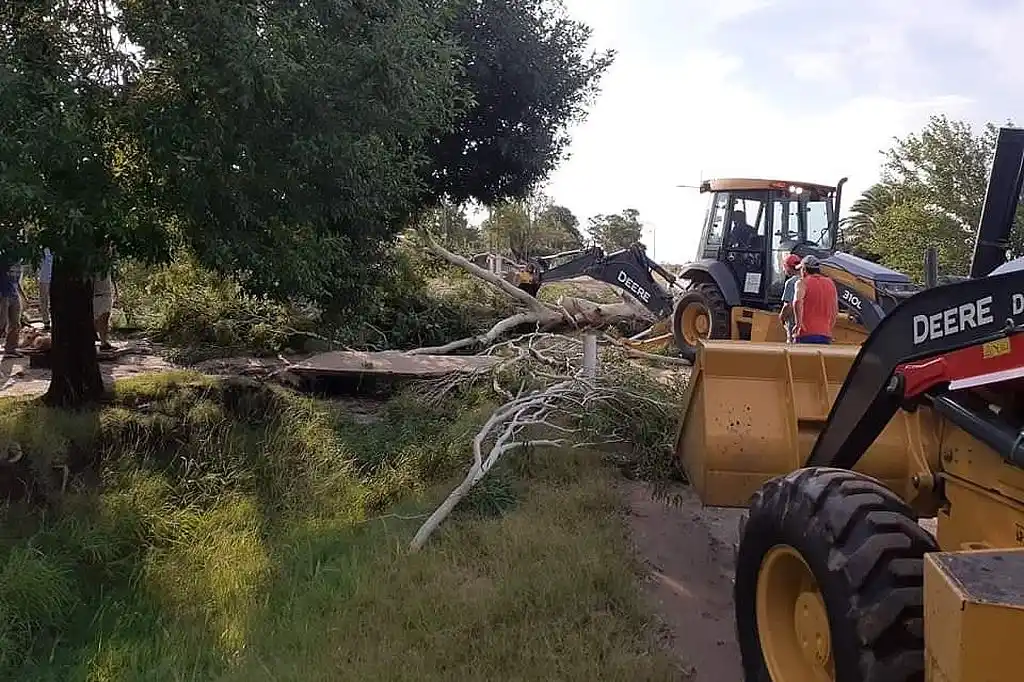 Fuertes ráfagas de viento ocasionaron destrozos, horas sin luz y caída de varios árboles en Maggiolo